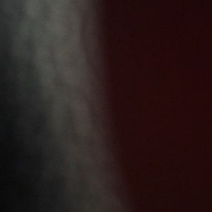 Meet your Posher, Hazel